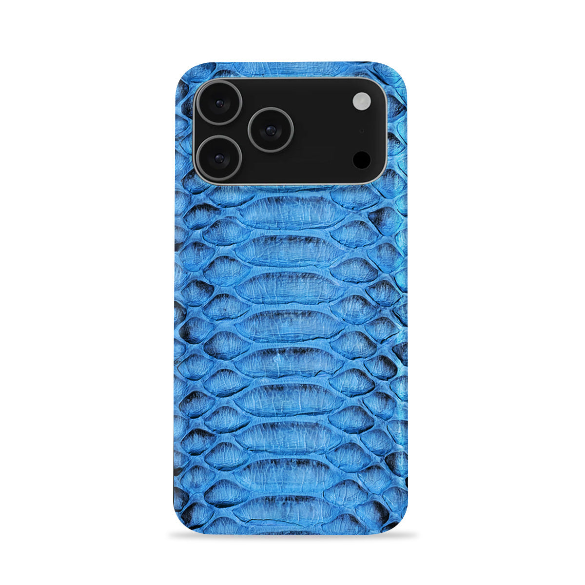 iPhone 17 Pro Max Leather Case — Piton