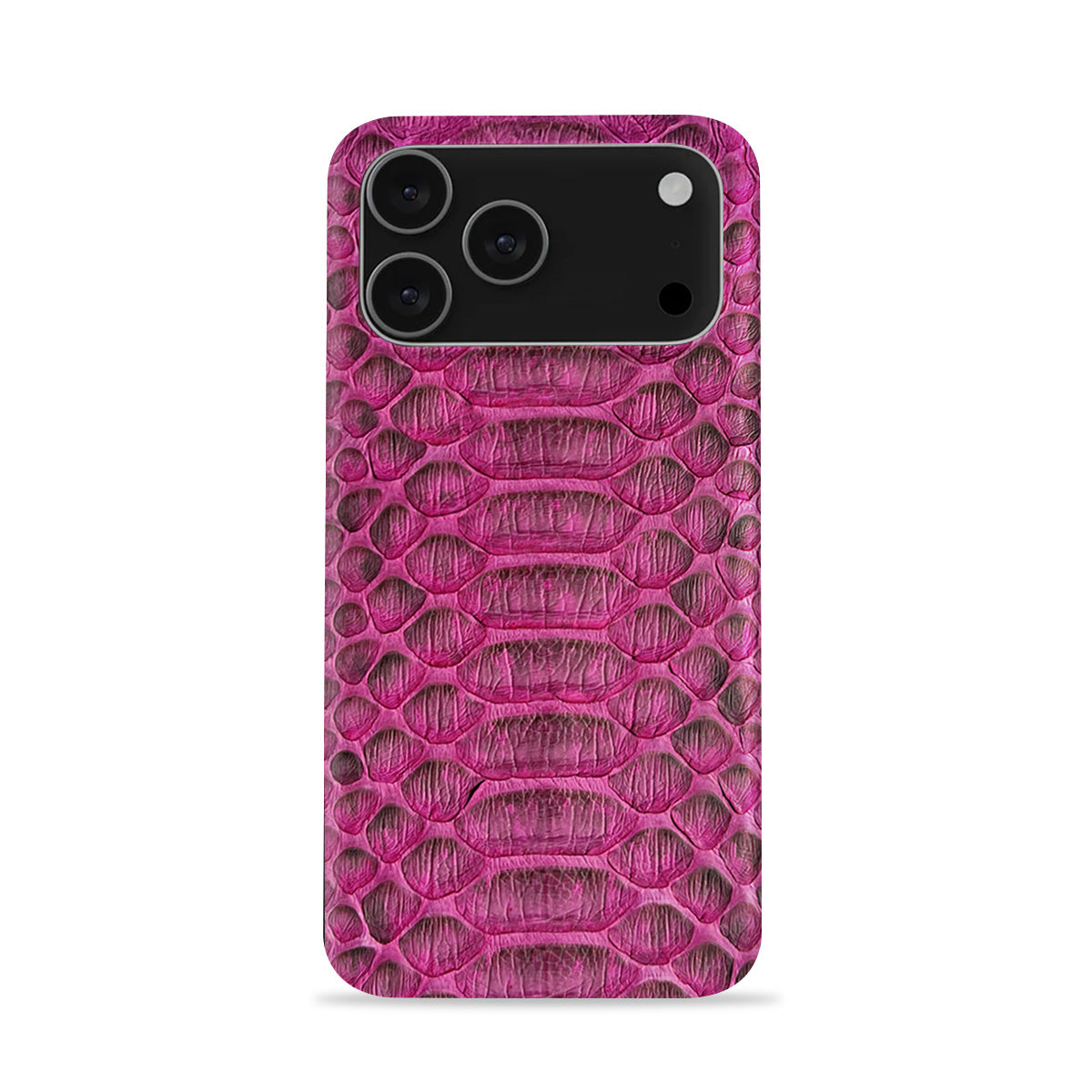iPhone 17 Pro Max Leather Case — Piton
