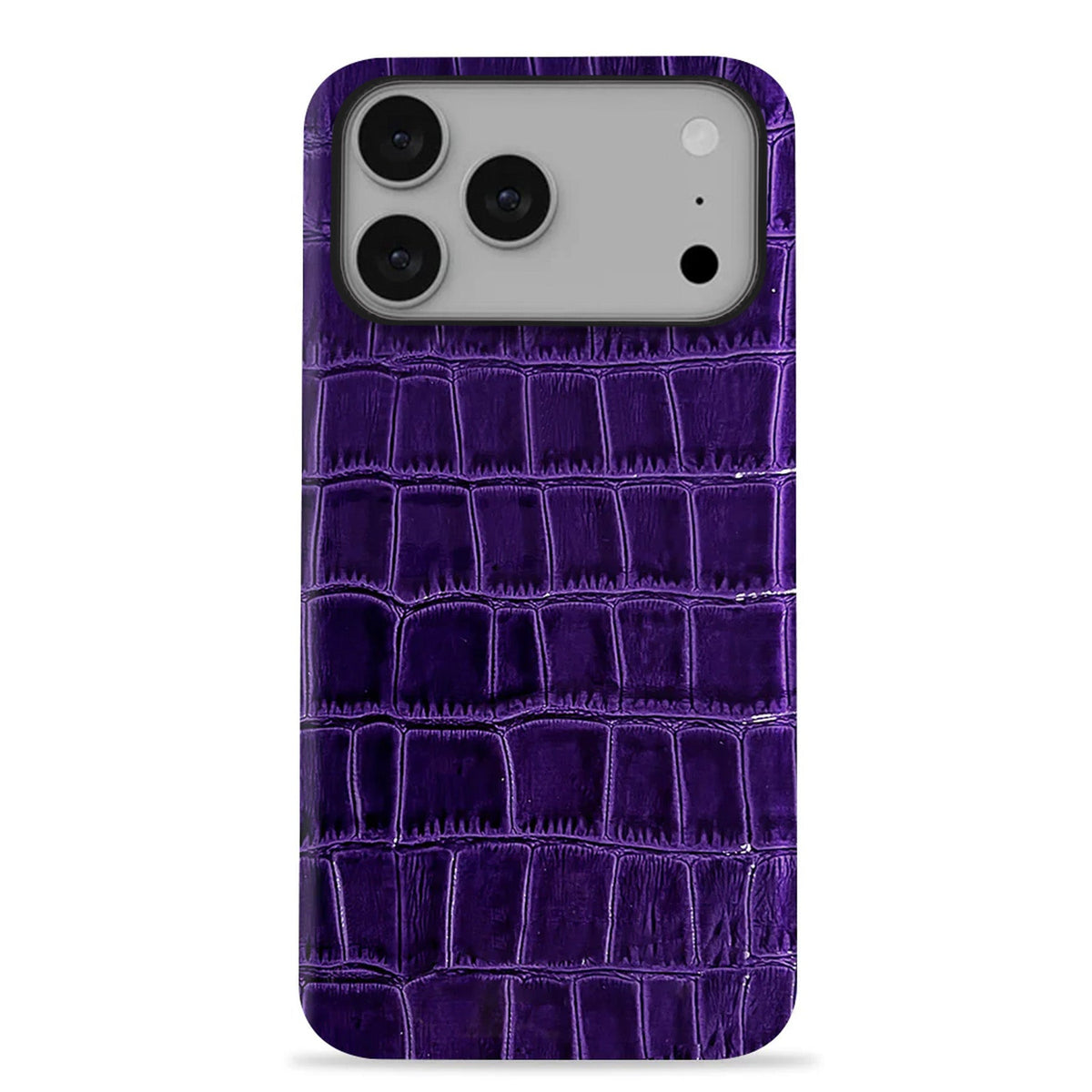 iPhone 17 Pro Max Leather Case — Vega